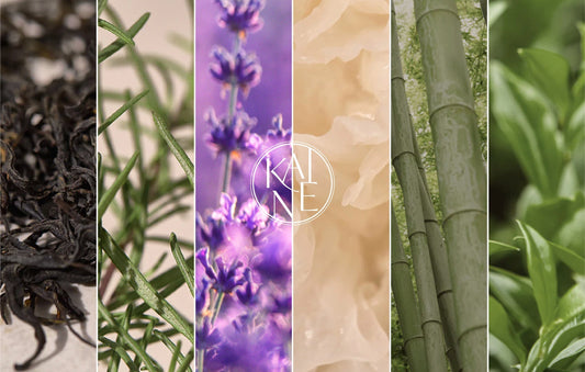 Vegan Ingredient Talk: Kombucha, Rosemary, Lavender, and More