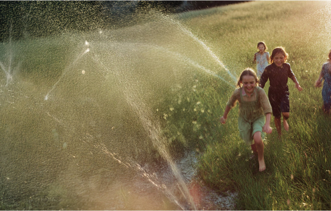 Balance or Repair? Find Your Perfect KAINE Toner Match